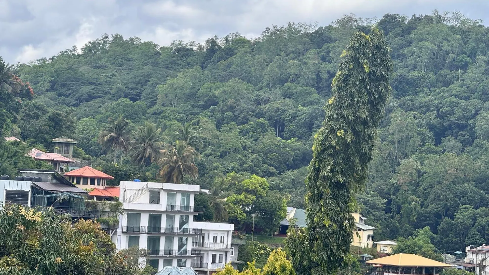 Domek letniskowy Misty Hills Lakeview Lounge Kandy Sri Lanka