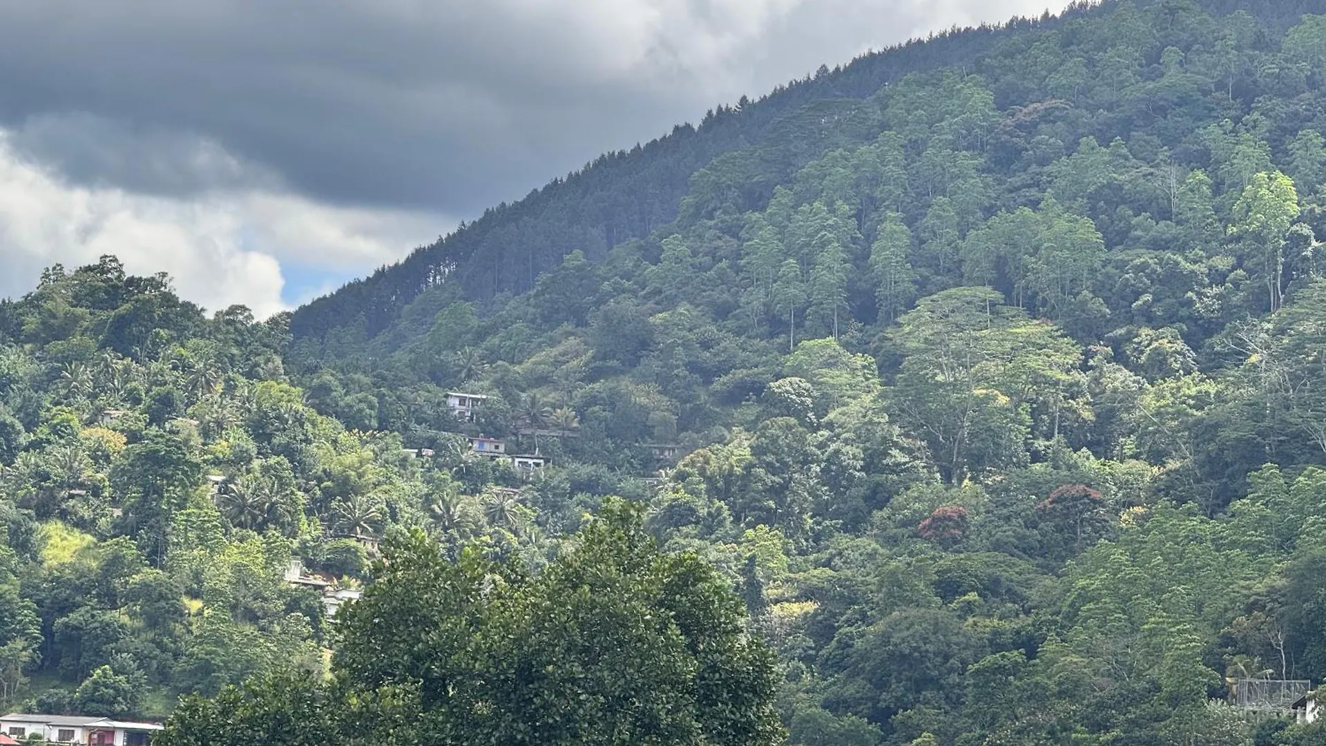 Domek letniskowy Misty Hills Lakeview Lounge Kandy