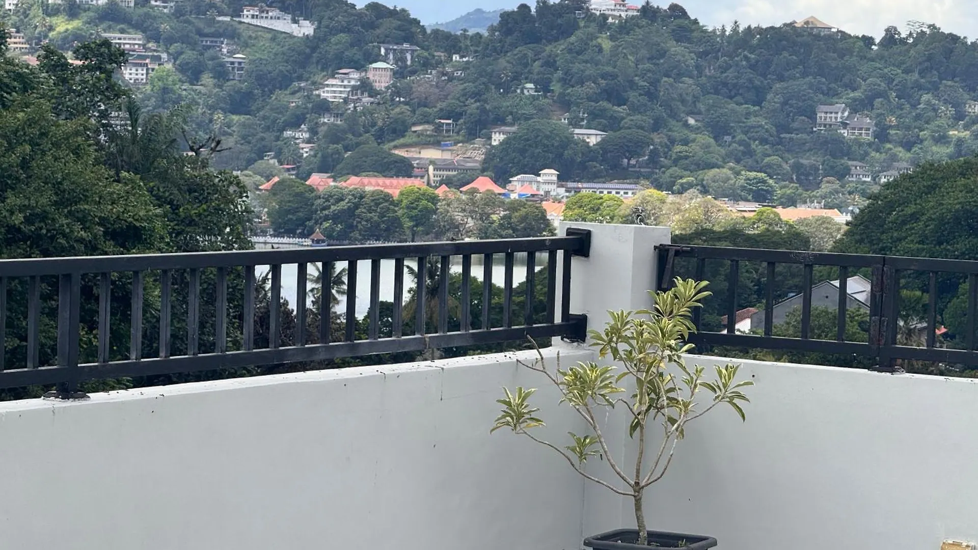 Domek letniskowy Misty Hills Lakeview Lounge Kandy Sri Lanka